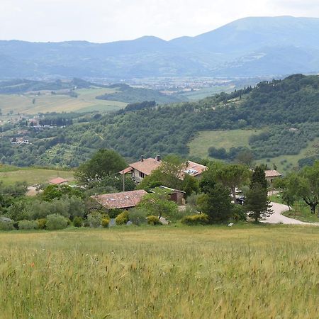 Agriturismo Terra Selvatica Valfabbrica 外观 照片